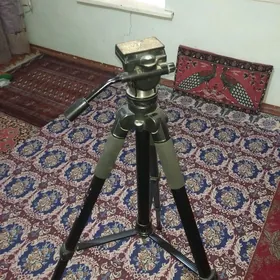 yştatiw