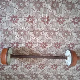 goterilyan stanga