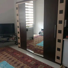 şfaner