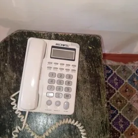 damasly telefon