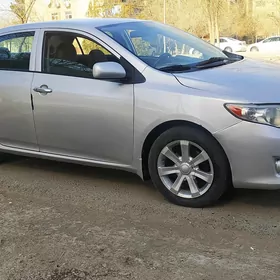 Toyota Corolla 2010