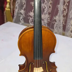 скрипка skripka