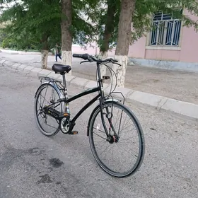 TiGiR 26
