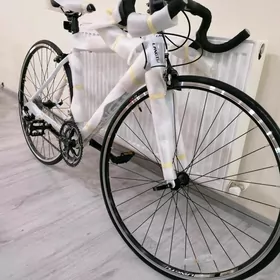 Tigir sportiwni