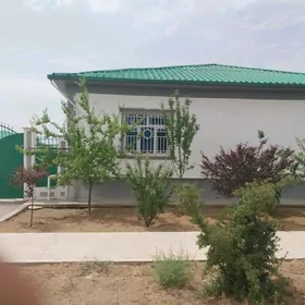 TAZE ZAMAN 5 KOMNAT