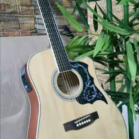 Gitara elektro (paket Fenlin)