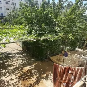 Навруз дом жай