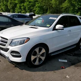 ML GLE