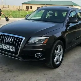 Audi Q5 2010