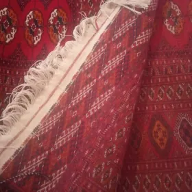 el haly 5/6 lyk