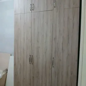 ШВАНЕР,