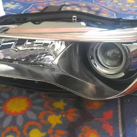 camry fara