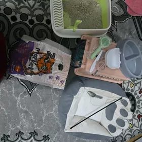 pishigin zatlary