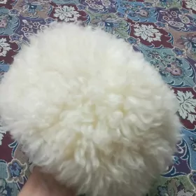 Telpek