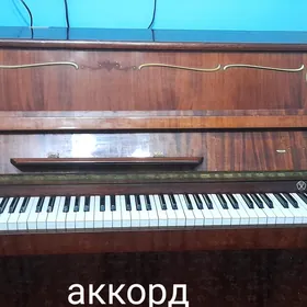 Скрипка