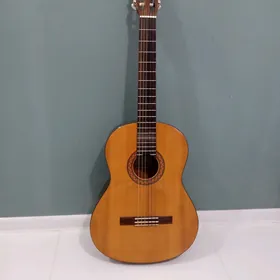 Gitara Yamaha C40