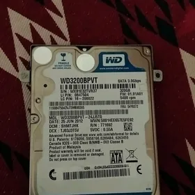 ǰoski disk