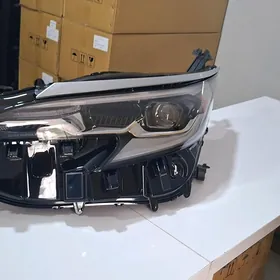 Fara cyra sienna 21 pilatunum