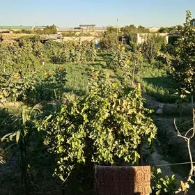 Продается дача