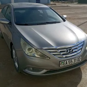 Hyundai Sonata 2010