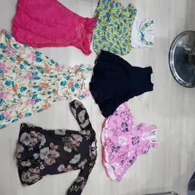 caga koynekler esikler