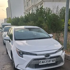 Toyota Corolla 2020