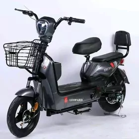 ELECTRO BIKE