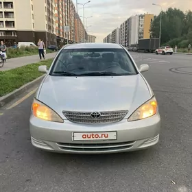 camry oblisowka morda