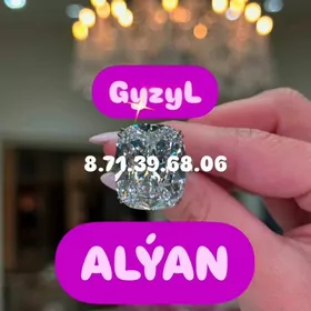 Gyzyl Alyan