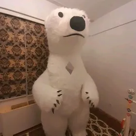Myşka aýy eşik satlyk