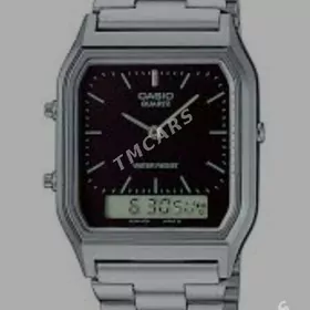 Casio sagat
