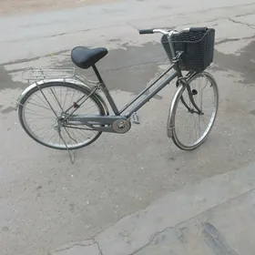 tigir 26 lyk