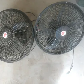 wintilator zapcast