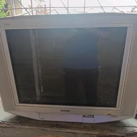 Satlyk Telewizor Orsunky