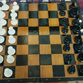шахматы küşt