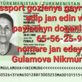 yiten zagran passport