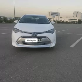 Toyota Corolla 2019