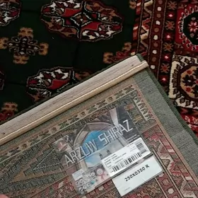 türkn halsi