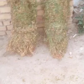 Йорунжа