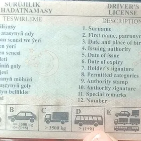 Prava yitdi tapana bayrak ba