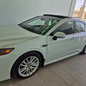 Toyota Camry 2020