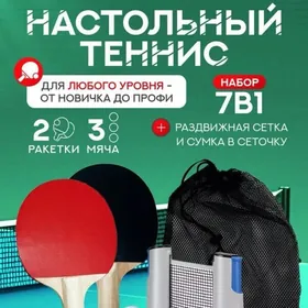 НАСТОЛЬНЫЙ ТЕННИС