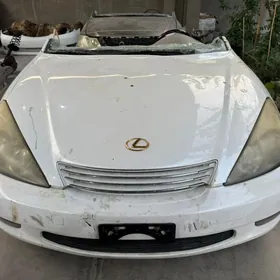 Morda Lexus Is