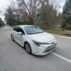 Toyota Corolla 2019