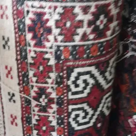 citme namazlyk taze