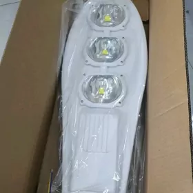 Elektronika