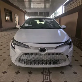 Toyota Corolla 2020