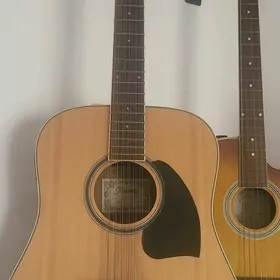 12 strun IBANEZ