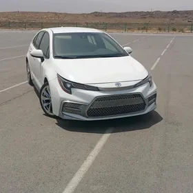 Toyota Corolla 2021