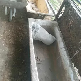 çoyun wanna nowa